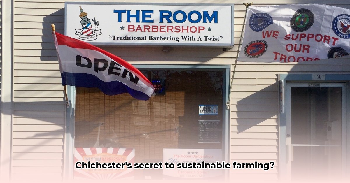 tractor-supply-chichester-nh